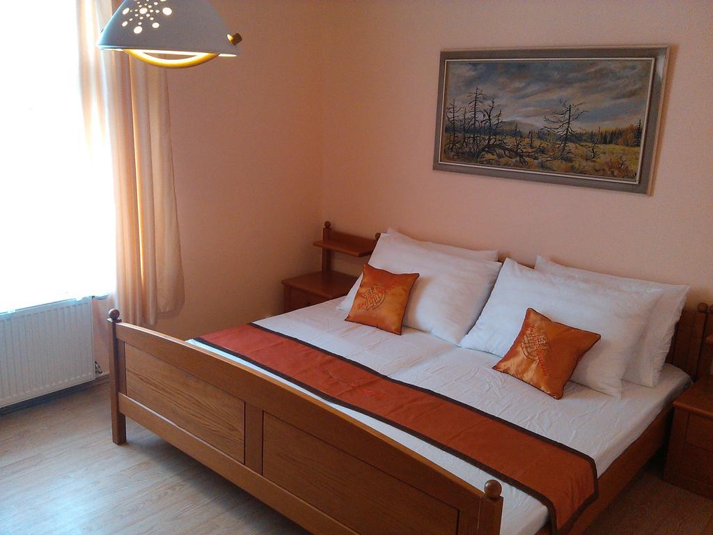 Pension Vidhous 1 Frantiskovy Lazne Bagian luar foto