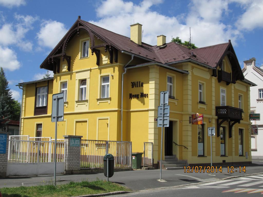 Pension Vidhous 1 Frantiskovy Lazne Bagian luar foto