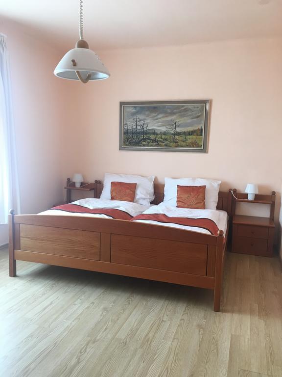 Pension Vidhous 1 Frantiskovy Lazne Bagian luar foto